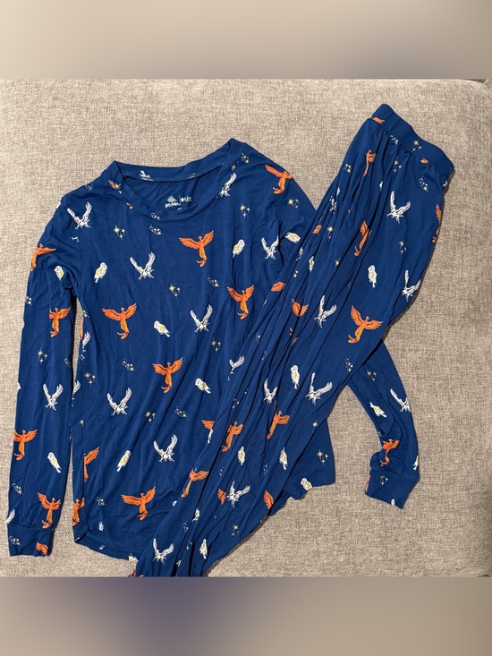 Kyte BABY Other - Kyte Women’s Harry Potter Flight Long-Sleeve Pajama Set XS